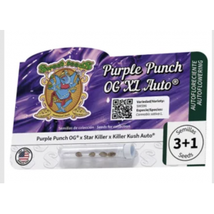 Purple Punch OG XL Auto. Photo 3